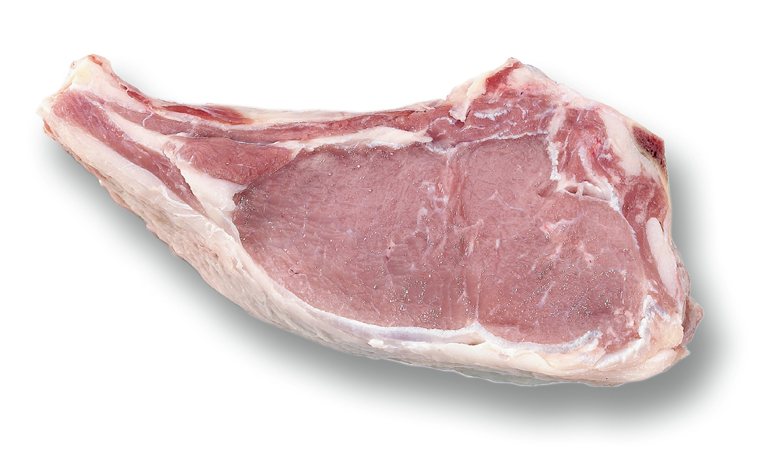 Food Service Products Catelli Brothers